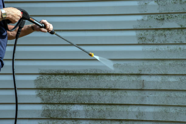 Best Sidewalk Pressure Washing  in Bad Axe, MI