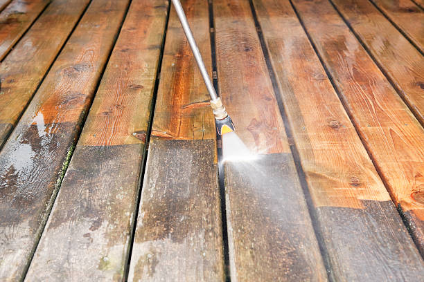 Best House Pressure Washing  in Bad Axe, MI