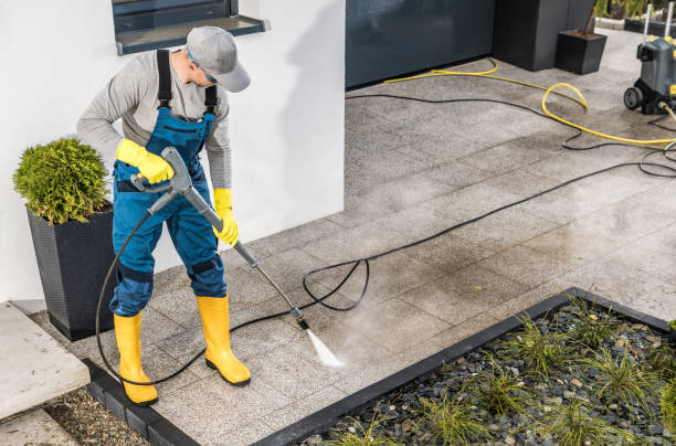Best Affordable Pressure Washing  in Bad Axe, MI