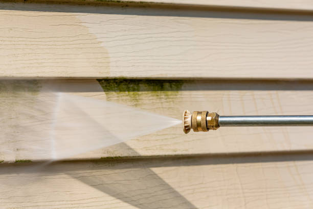 Best Deck Pressure Washing  in Bad Axe, MI