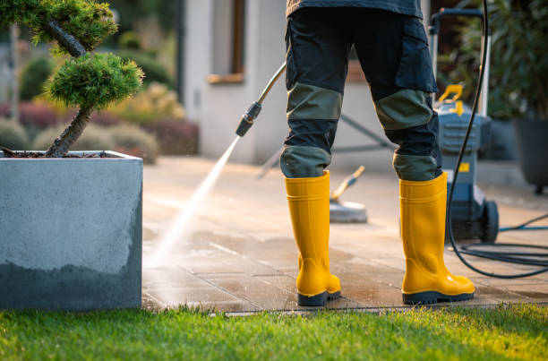 Best Best Pressure Washing Companies  in Bad Axe, MI